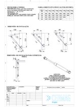 pistao-a-gas-60n
